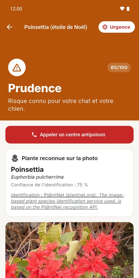 Plante reconnue en photo