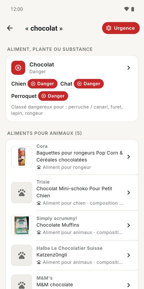 Recherche « chocolat » : danger pour le chien, le chat et le perroquet